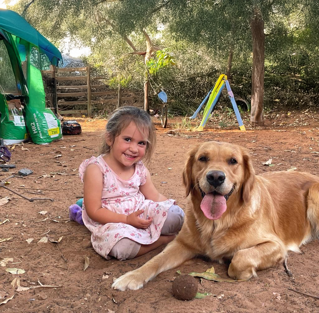 ילדה קטנה בשמלה ורודה יושבת ליד כלב גולדן רטריבר מחייך בגינת משחקים טבעית.